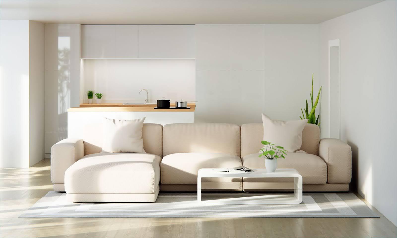 The Contemporary Chic
